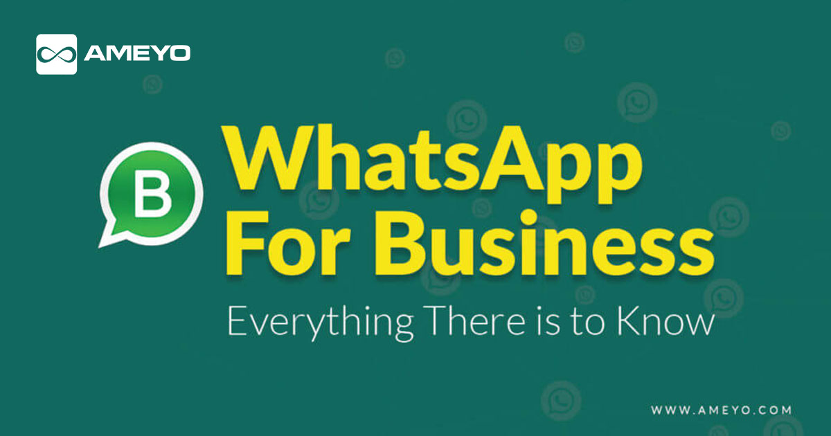 WhatsApp for Business: Is it a Game Changer?